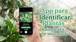 Aplicativo para Identificar Plantas Baixe Gratuitamente no seu Celular